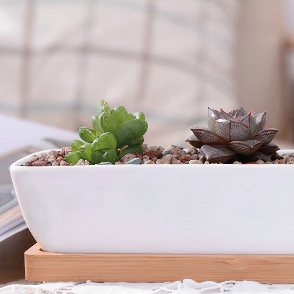 Succulent Planter-Long